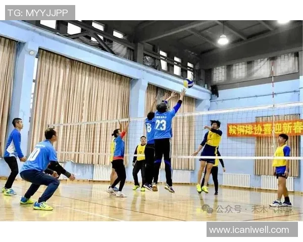 成都排球队协作之道：探索排球配合的艺术与技巧